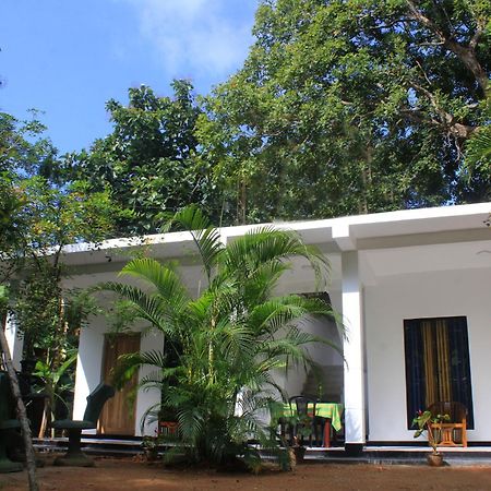 Sigiriya Mana B&B Extérieur photo