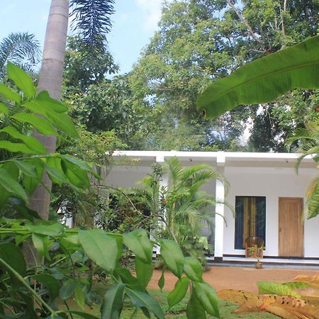 Sigiriya Mana B&B Extérieur photo