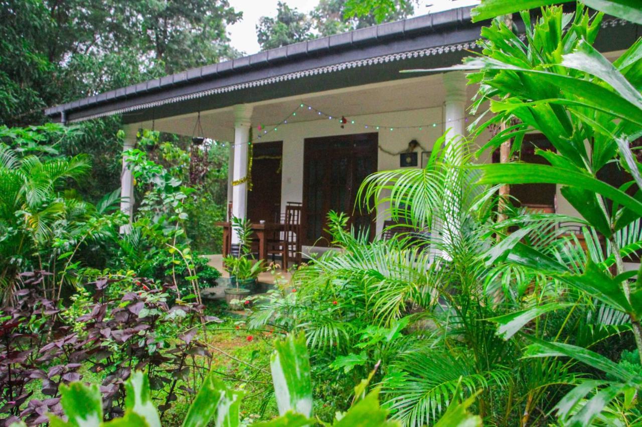 Sigiriya Mana B&B Extérieur photo