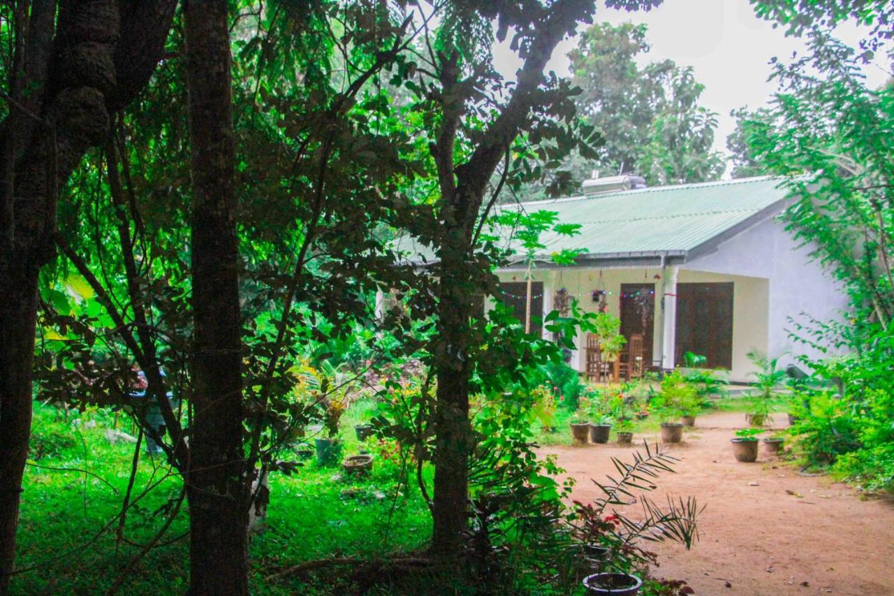Sigiriya Mana B&B Extérieur photo