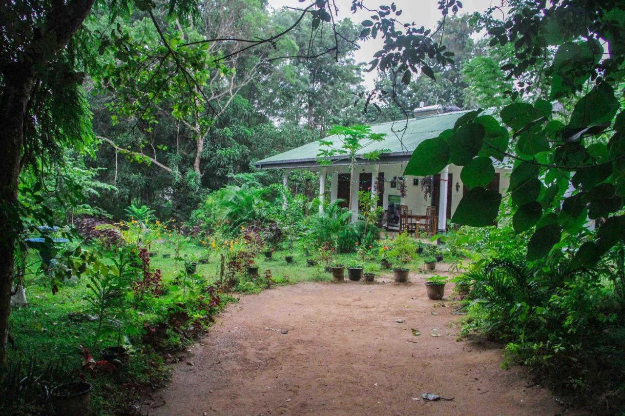 Sigiriya Mana B&B Extérieur photo