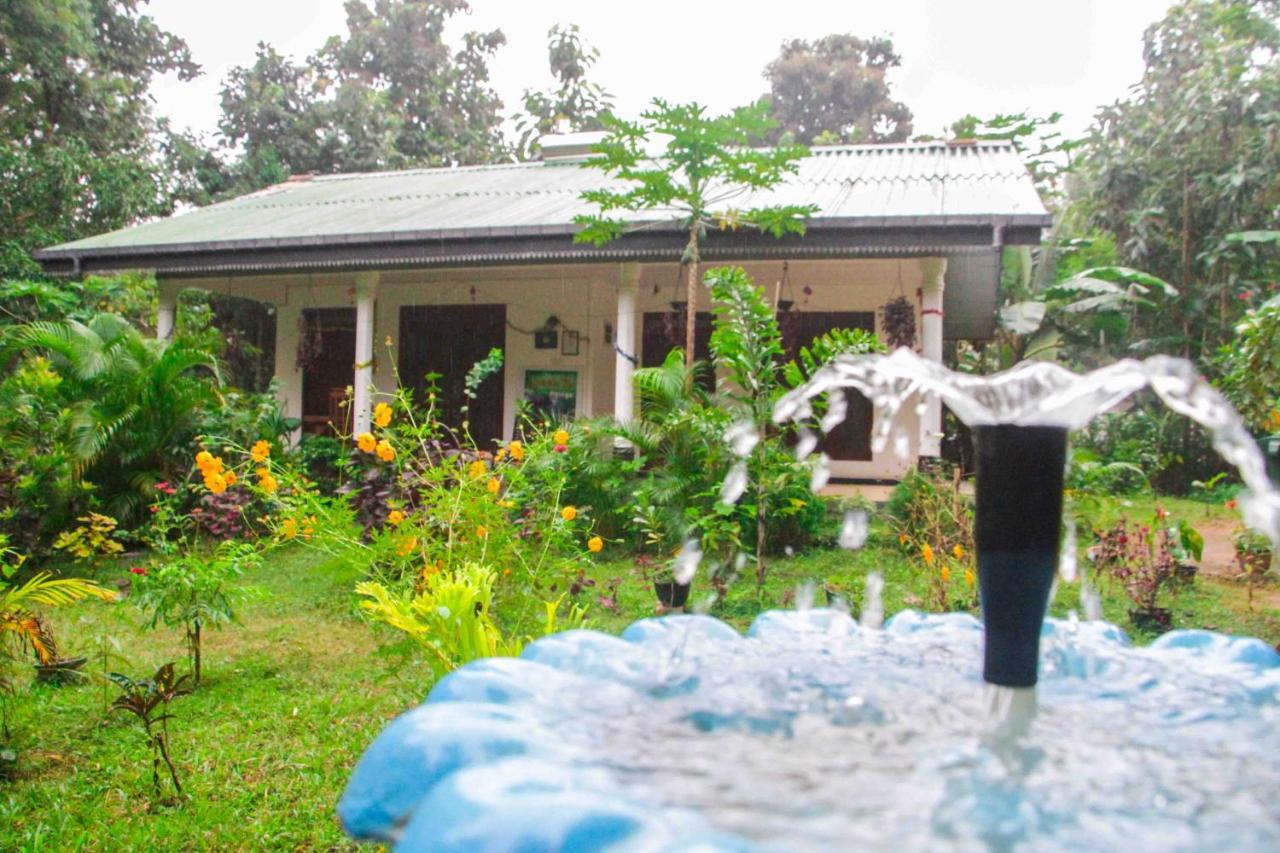 Sigiriya Mana B&B Extérieur photo