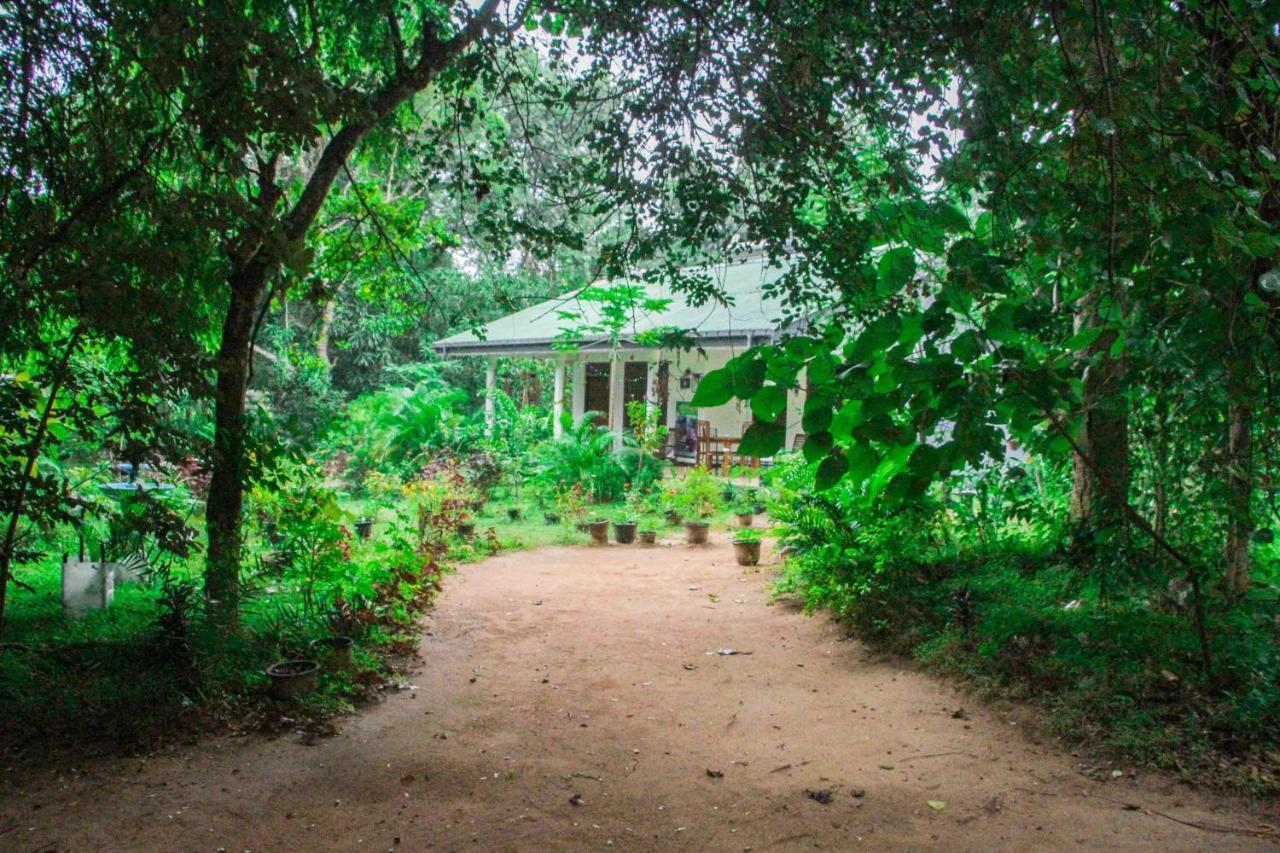 Sigiriya Mana B&B Extérieur photo