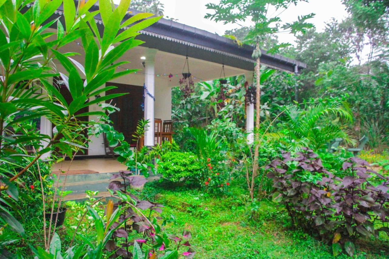 Sigiriya Mana B&B Extérieur photo