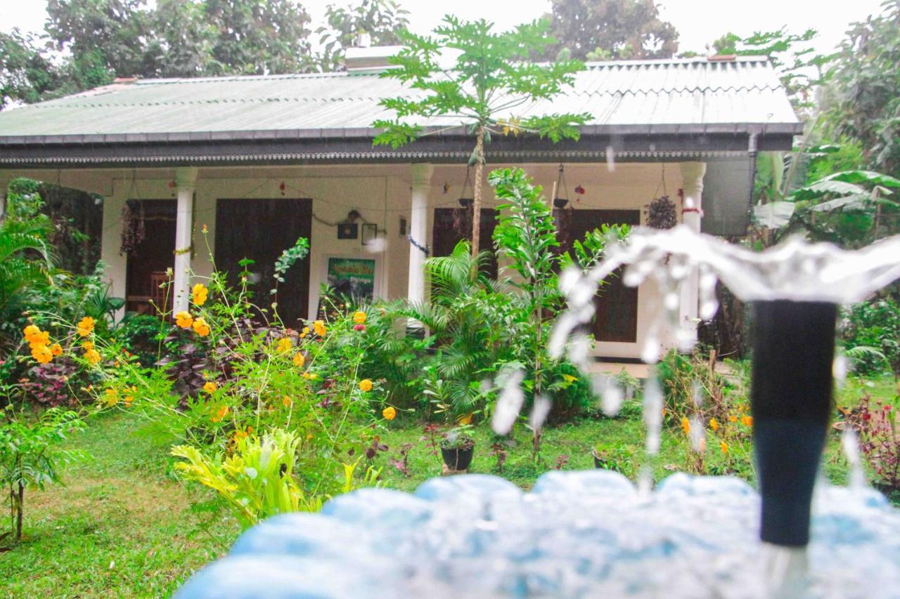 Sigiriya Mana B&B Extérieur photo