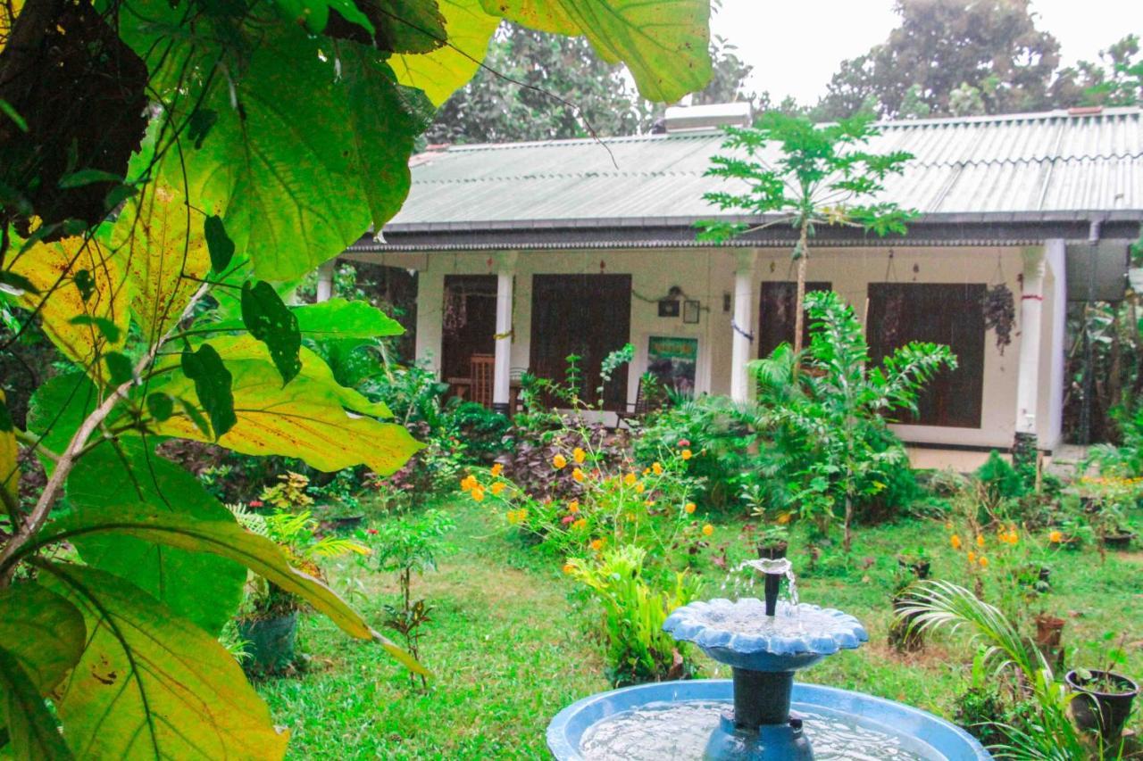 Sigiriya Mana B&B Extérieur photo